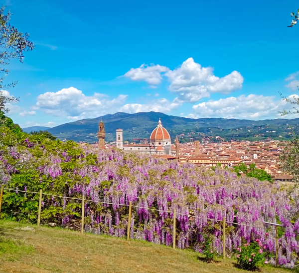 Cooking class in Florence