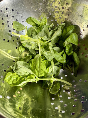 Authentic Italian Recipe: Pasta al Pesto Verde Genovese